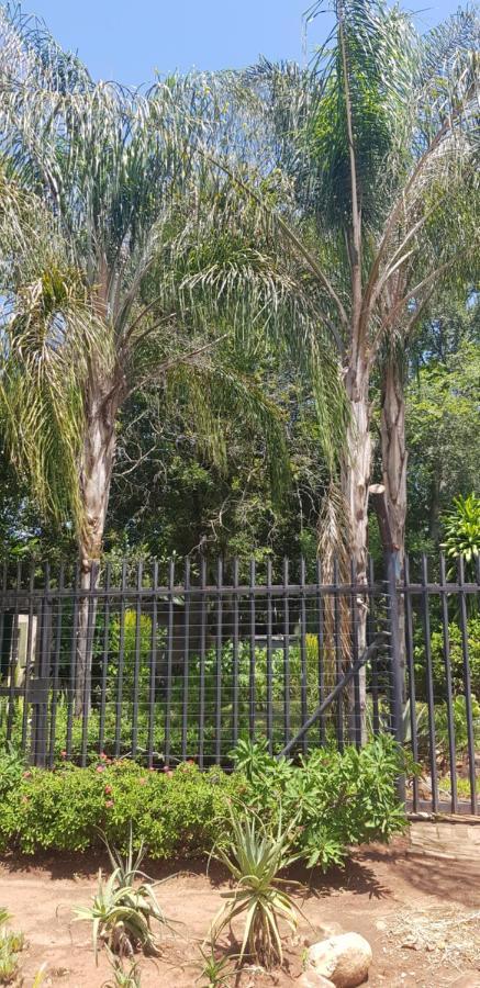 A Farm Stay - Casablanca'S Private Cottage,No Loadshedding! Hazyview Εξωτερικό φωτογραφία