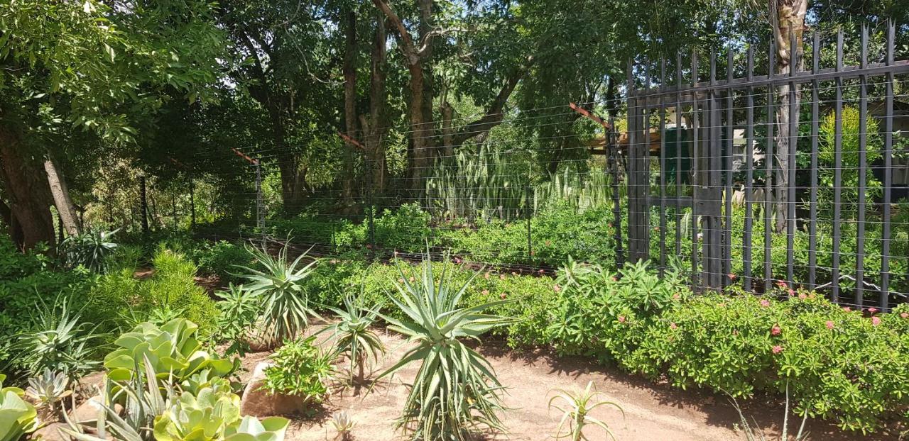 A Farm Stay - Casablanca'S Private Cottage,No Loadshedding! Hazyview Εξωτερικό φωτογραφία